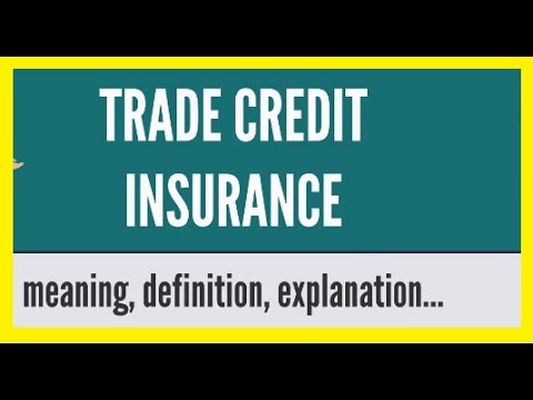 Trade Credit Insurance Explained / Understanding Credit Insurance