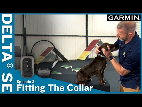 Ep. 2 Fitting the Collar – Delta® SE handheld & dog collar