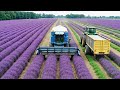 How Perfume Is Made Inside A Luxury PERFUME Factory