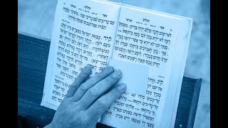 האם מותר לומר תהילים קודם "ישתבח" ▪️ הרב נחמנסון ▪️ (בית כנסת חב"ד כפר סבא) (הרב יהודה לייב נחמנסון) - התמונה מוצגת ישירות מתוך אתר האינטרנט יוטיוב. זכויות היוצרים בתמונה שייכות ליוצרה. קישור קרדיט למקור התוכן נמצא בתוך דף הסרטון