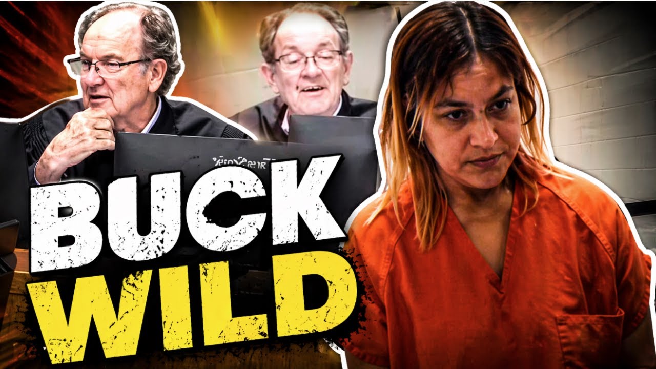 Is it SovCit or Beaver Mole?