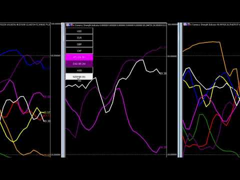 Video Quantum Currency Strength Indicator for MT5