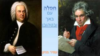 עמיר בניון