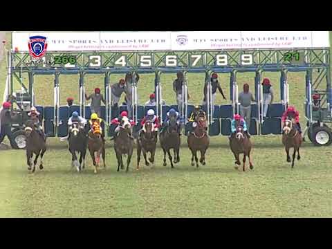 RM26 R6 | Walls Of Dubrovnik | I.Santana