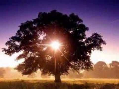 CREDO IN UNUM DEUM (VERBUM PANIS)