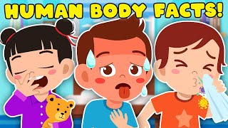 Weirdest Human Body Facts! | Human Body Compilation For Kids | KLT