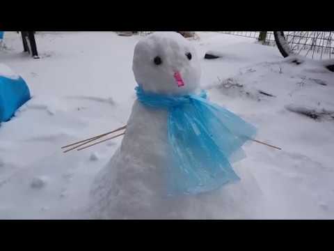Nederland Vogelwaarde Live 3/3/2018