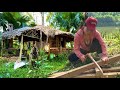 30 Days Of Renovating An Abandoned House On A Deserted Island From Beginning To End Ma Thi Hieu