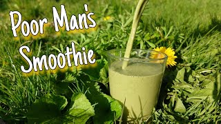 Poor Man's Smoothie - Foraging A Free Vitamin Drink 🌱🍹
