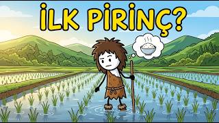 Antik İnsanlar Pirinç Tarımını Nasıl İcat Etti?