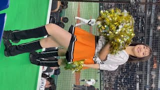 サムライジャパンを応援します