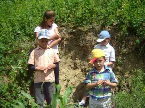 Fratii Cucu, din Puiesti