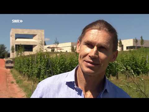 Bitburger-Erbe Roman Niewodniczanski baut Weinmanufaktur | SWR | Landesschau Rheinland-Pfalz
