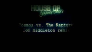 House of Jealous Lovers (Tom Middleton remix)