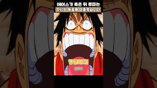 잃어버린 동료를 떠올리는 조이보이의 후예#원피스