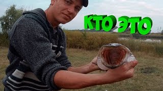 Рыбалка на карпа в тамбове