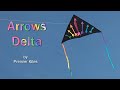 Arrows Delta kite by Premier Kites