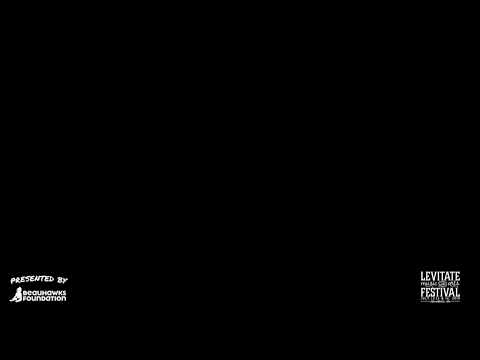 Levitate Music & Arts Festival 2019 - Saturday Live Stream (Part 2)