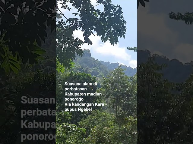 Suasana alam di lereng gunung wilis, Jalan Tembus Kare - Ngebel