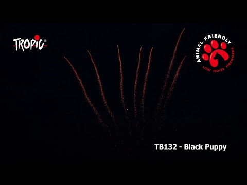 Black Puppy - TB131 - Tropic