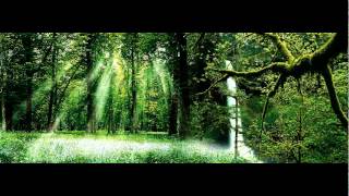 Manau _ Le Chant Des Druides