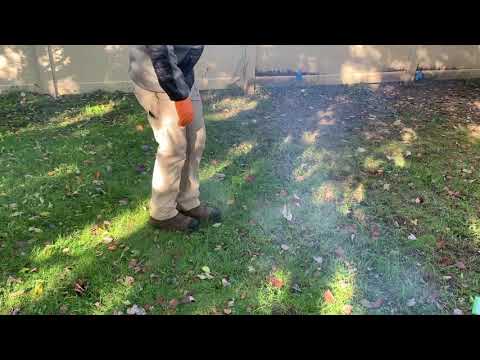 How to Handle a Mole Infestation with the Burrow RX in Shrewsbury, NJ