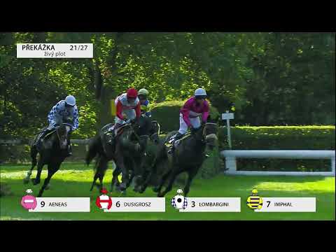 3. 9. 2022 - 7. dostih - Velká cena města Pardubic – EURO EQUUS – IV. kvalifikace na 132. Vp se Sp