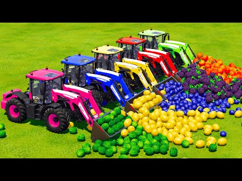 LOAD AND TRANSPORT FRUITS WITH LAMBORGHINI And JCB TRACTORS - Farming Simulator 2022