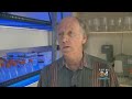 Marine Biology Professor Discusses Causes Of Red Tide & How To Counteract It
