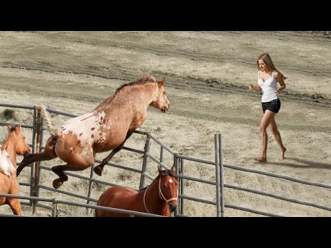 Un caballo se vuelve loco cuando ve a esta chica - La razón conmocionó a su dueño
