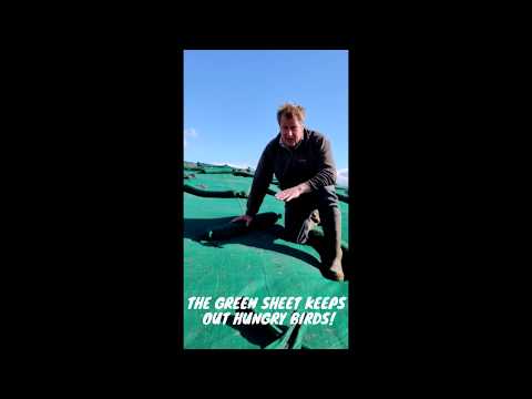 Making Grass Silage with Richard