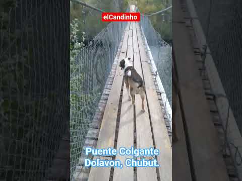 Puente Colgante a 6km de Dolavon, Chubut, Patagonia Argentina!