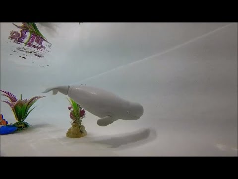 Finding Dory Robo Fish Swimming Bailey Underwater Action unboxing Blind Bags Fun Toy Video