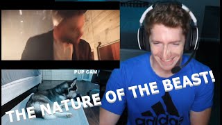 Chris REACTS to Ice Nine Kills - The Nature of the Beast