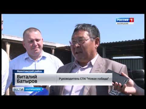 Вести «Калмыкия»: дневной выпуск 02.06.2017