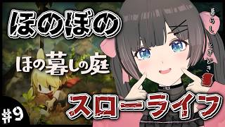 【ほの暮しの庭】1年目冬23日～。植林と酒造と養蜂がしたいお盆休みの早朝スローライフ…夏休みはほのぼの田舎暮らし。【#のんなま】