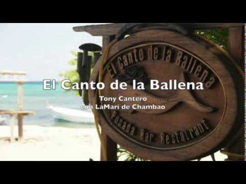 El Canto de la Ballena - Painting Clouds - Tony Cantero
