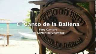 El Canto de la Ballena - Painting Clouds - Tony Cantero