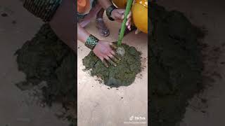 Download lagu Panti Nopi mp3 Download lagu Panti Nopi mp3