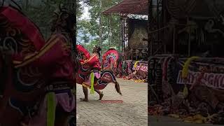 Download lagu JARANAN ANYAR SANG MERAH♥️ MAYANGKORO ORIGINAL LIVE COBAN KETHAK 🇮🇩 mp3