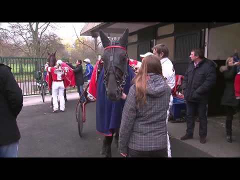 Les plus belles images des Masters Grand National du Trot Paris-Turf 2014