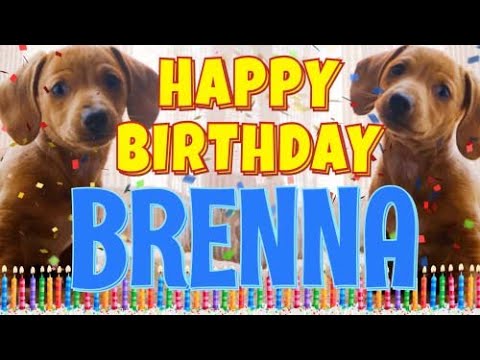 Happy Birthday Brenna! ( Funny Talking Dogs ) What Is Free On My Birthday