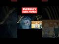 Dumbledore Harry Harrypotter Animes Anime Hogwarts