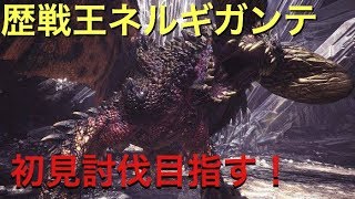 MHW　歴戦王ネギに挑む！