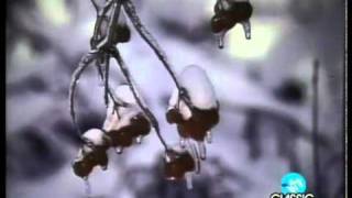 Silent Night - Mannheim Steamroller (Official Music Video - 1984)