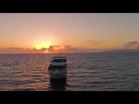 2018 SocialMediaMajestic v01