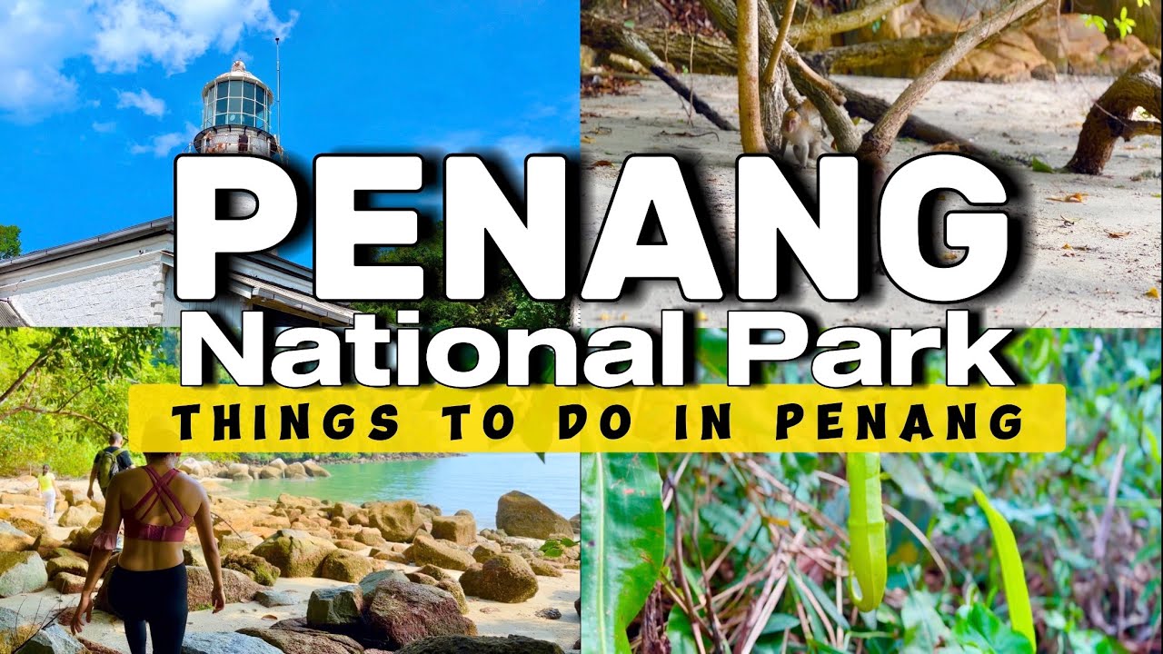 Explore the wonders of Penang National Park and enjoy the nature closely.
