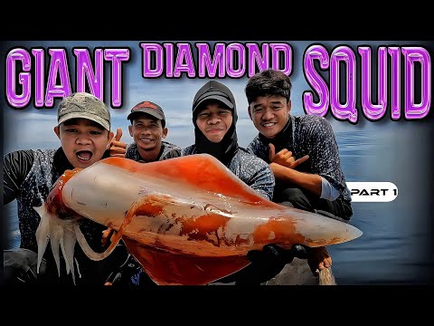 P1-Diamond Back Squid - EP1028
