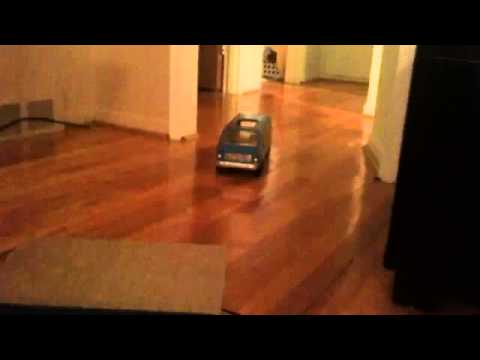 Guys go camping with a dog