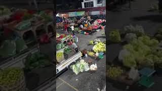Download lagu Keren Pasar Sayur Seger Gold Coin mp3